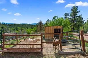 4269 Cedar Mountain Rd, Divide, CO 80814 - Photo 23