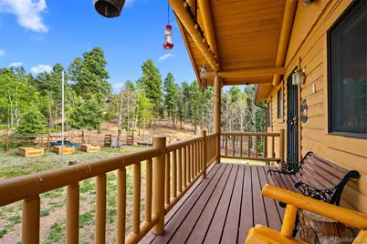 4269 Cedar Mountain Road, Divide, CO 80814 - Photo 3