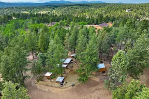 4269 Cedar Mountain Rd, Divide, CO 80814 - Photo 27
