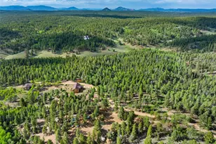 4269 Cedar Mountain Rd, Divide, CO 80814 - Photo 33