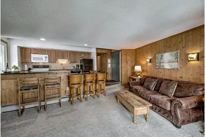 1075 Ski Hill Road #46, Breckenridge, CO 80424 - Photo 9