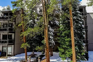 1075 Ski Hill Rd, Breckenridge, CO 80424 - Photo 39