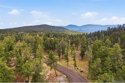 24073 Peak Drive, Conifer, CO 80433 - Photo 9