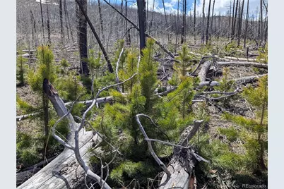 1945 Strauss Drive, Fort Garland, CO 81133 - Photo 1