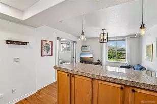 1833 N Williams St, Denver, CO 80218 - Photo 13