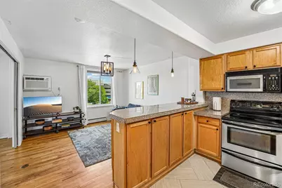 1833 N Williams Street #504, Denver, CO 80218 - Photo 7