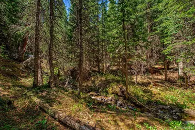 0307 Cr 674, Breckenridge, CO 80424 - Photo 11