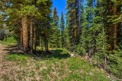 0307 Cr 674, Breckenridge, CO 80424 - Photo 13