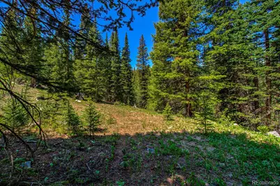 0307 Cr 674, Breckenridge, CO 80424 - Photo 5