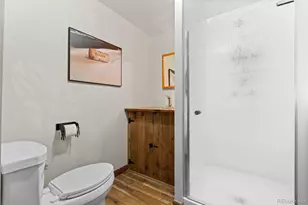 7787 Windfont Row, Parker, CO 80134 - Photo 29