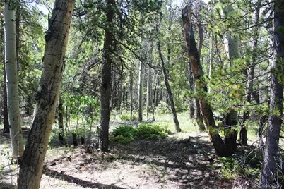 6050 Virginia Canyon Road, Central City, CO 80427 - Photo 3