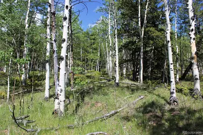 6050 Virginia Canyon Road, Central City, CO 80427 - Photo 11