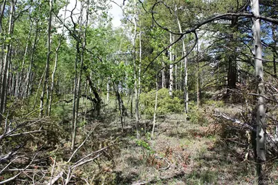 6050 Virginia Canyon Road, Central City, CO 80427 - Photo 15