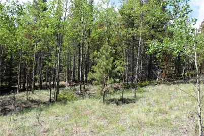 6050 Virginia Canyon Road, Central City, CO 80427 - Photo 17