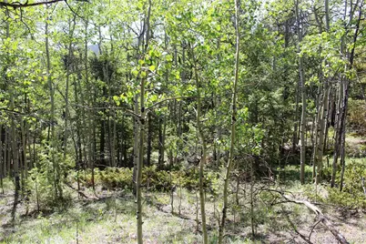 6050 Virginia Canyon Road, Central City, CO 80427 - Photo 13