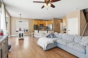 7869 Solstice Way, Castle Rock, CO 80108 - Photo 13