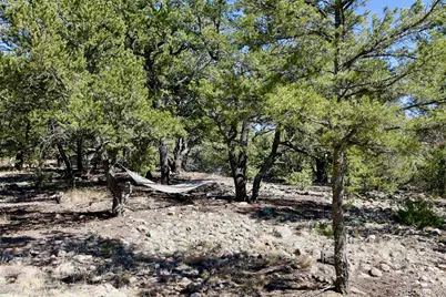 2210 Lone Pine, Crestone, CO 81131 - Photo 37