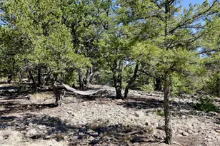 2210 Lone Pine, Crestone, CO 81131 - Photo 37