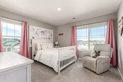 17200 Red Cosmos Point, Parker, CO 80134 - Photo 25