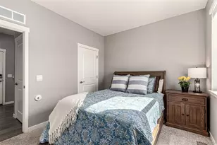 17200 Red Cosmos Pt, Parker, CO 80134 - Photo 23