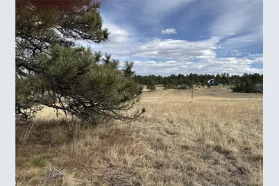 39080 County Road 21, Elizabeth, CO 80107 - Photo 3