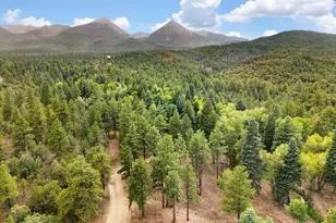3285 Co Rd 47, Howard, CO 81233 - Photo 45