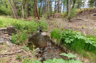 3285 Co Rd 47, Howard, CO 81233 - Photo 41