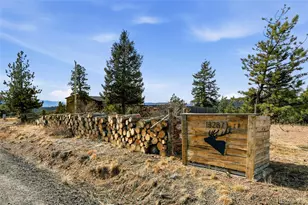 13287 S Otoe St, Pine, CO 80470 - Photo 43