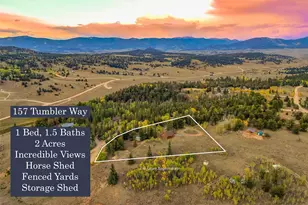 157 Tumbler Way, Como, CO 80432 - Photo 31