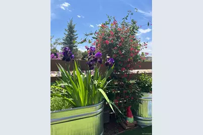 732 Boulder Peak Avenue, Erie, CO 80516 - Photo 45