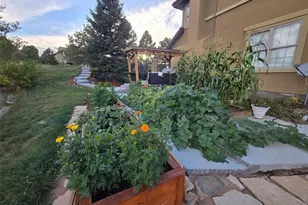 6293 Ellingwood Point Way, Castle Rock, CO 80108 - Photo 49