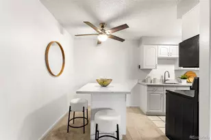 1233 N Ogden St, Denver, CO 80218 - Photo 11