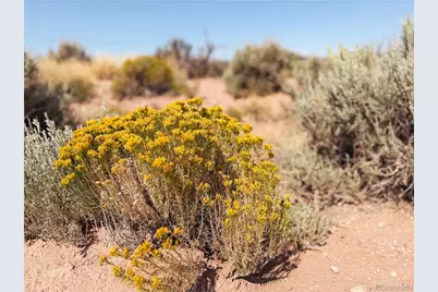 00 Slaughter Road, Fort Garland, CO 81133 - Photo 3