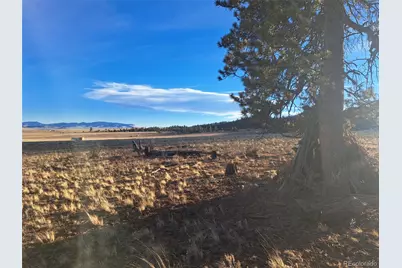 186 Boulder Road, Hartsel, CO 80449 - Photo 19