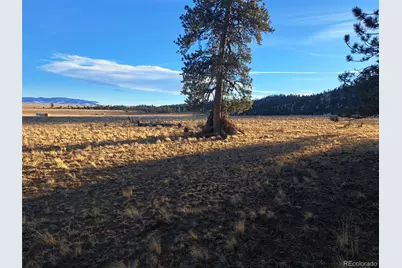 186 Boulder Road, Hartsel, CO 80449 - Photo 29