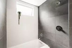 1171 N Birch St, Denver, CO 80220 - Photo 21