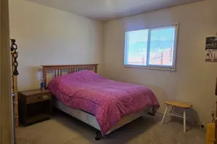 1309 Mt Elbert Dr, Leadville, CO 80461 - Photo 13