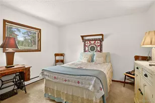 7033 Silverhorn Dr, Evergreen, CO 80439 - Photo 21