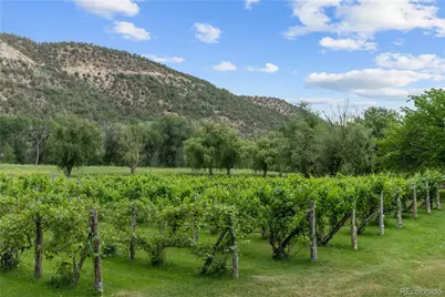 34074 Fruitland Mesa Road, Crawford, CO 81415 - Photo 15