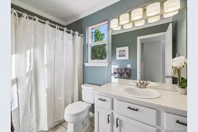 438 Sylvestor Trail, Highlands Ranch, CO 80129 - Photo 23