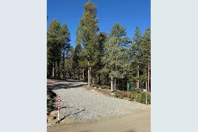 1667 Singletree Road, Hartsel, CO 80449 - Photo 1