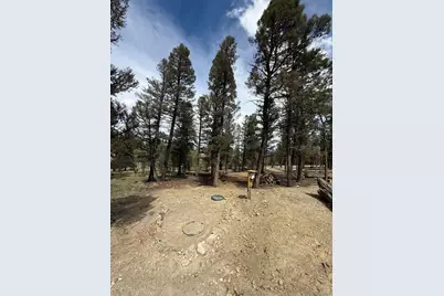1667 Singletree Road, Hartsel, CO 80449 - Photo 5