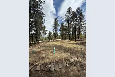 1667 Singletree Road, Hartsel, CO 80449 - Photo 3