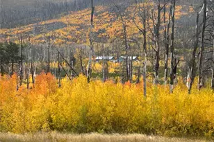 1944 Strauss Dr, Fort Garland, CO 81133 - Photo 3