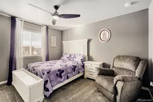 4775 Waltham Dr, Windsor, CO 80550 - Photo 13