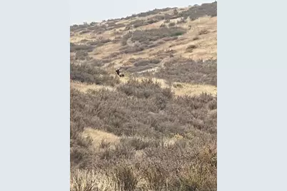 940 S County Road 29, Loveland, CO 80537 - Photo 41