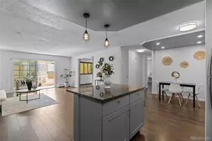 610 S Clinton St, Denver, CO 80247 - Photo 3