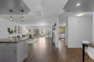 610 S Clinton St, Denver, CO 80247 - Photo 5