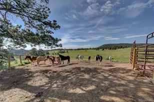 779 Kinnikinnik Hill, Golden, CO 80401 - Photo 47