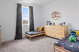 2917 Furthermore Ln, Castle Rock, CO 80108 - Photo 27